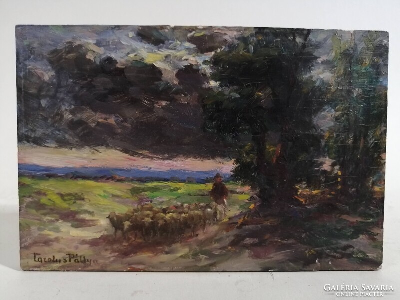 PÁLLYA CAROLUS /1875-1949/ - BIRKÁKAT TERELŐ JUHÁSZ