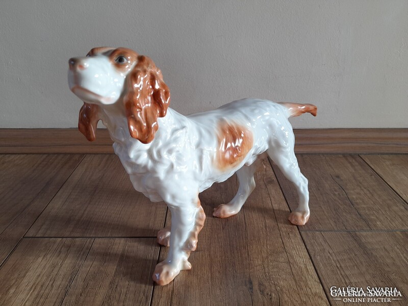 Régi Herendi porcelán nagyméretű kutya, ír szetter