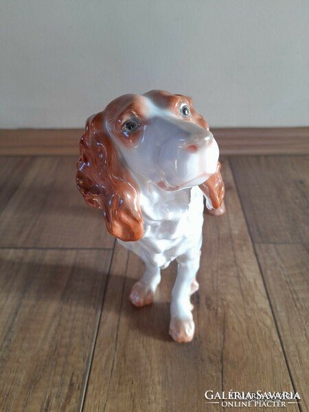 Régi Herendi porcelán nagyméretű kutya, ír szetter