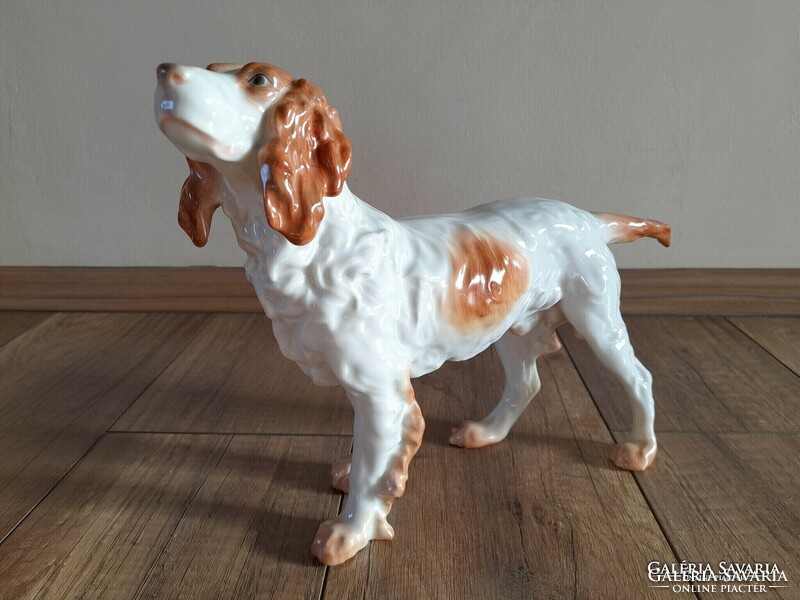 Régi Herendi porcelán nagyméretű kutya, ír szetter