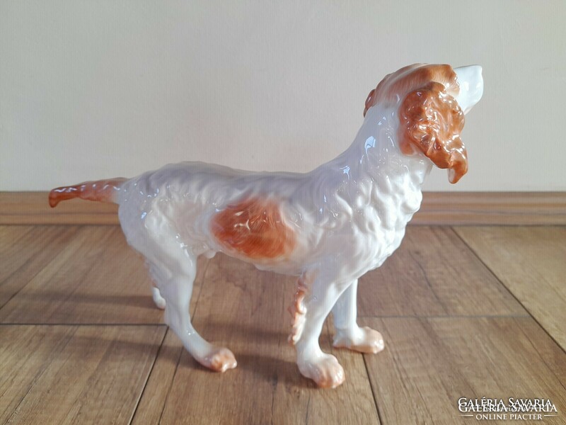 Régi Herendi porcelán nagyméretű kutya, ír szetter