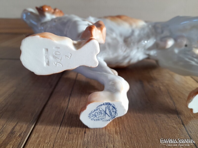 Régi Herendi porcelán nagyméretű kutya, ír szetter
