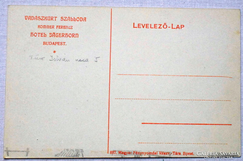 Vadászkürt Szálloda, Hotel  - Kerti részlet, pálmakert - Bp,  Türr István u,  - antik képeslap
