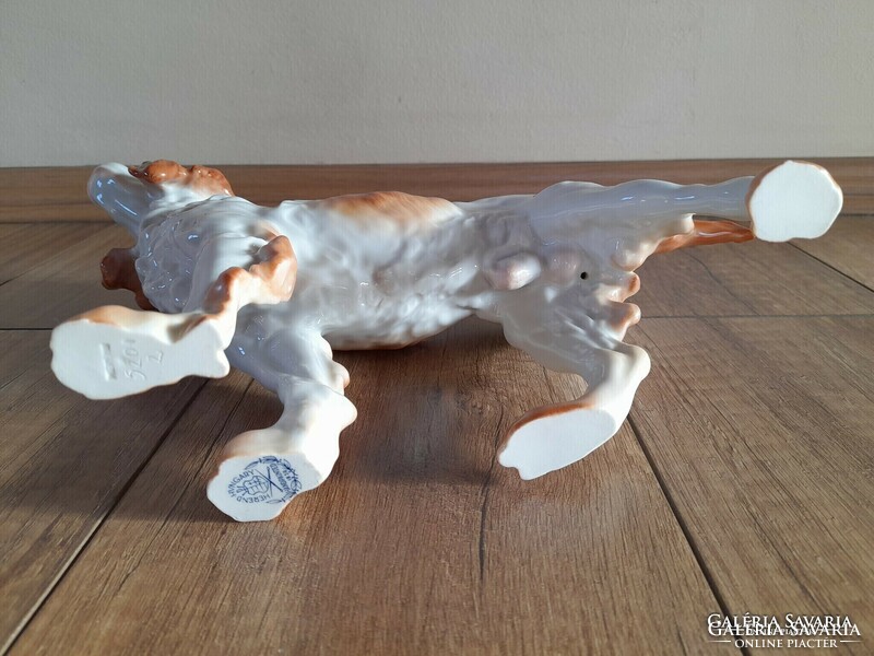 Régi Herendi porcelán nagyméretű kutya, ír szetter