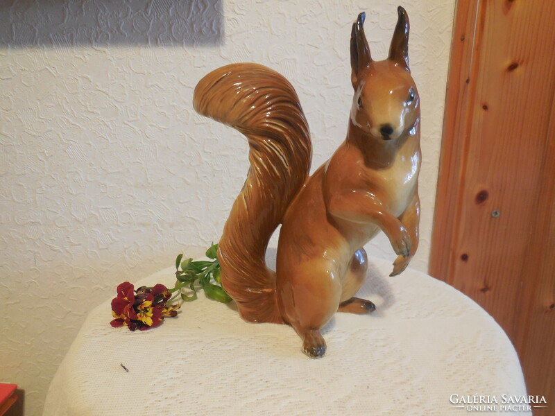 ENS  mókus  , fülén piciny  lapattanás , 20 cm