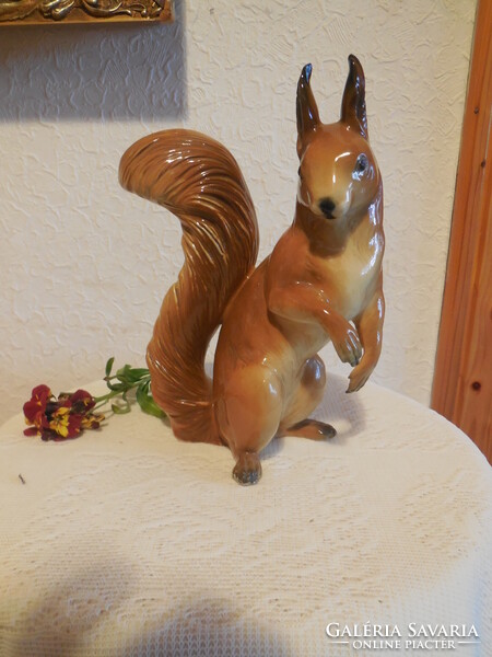 ENS  mókus  , fülén piciny  lapattanás , 20 cm