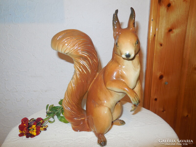 ENS  mókus  , fülén piciny  lapattanás , 20 cm