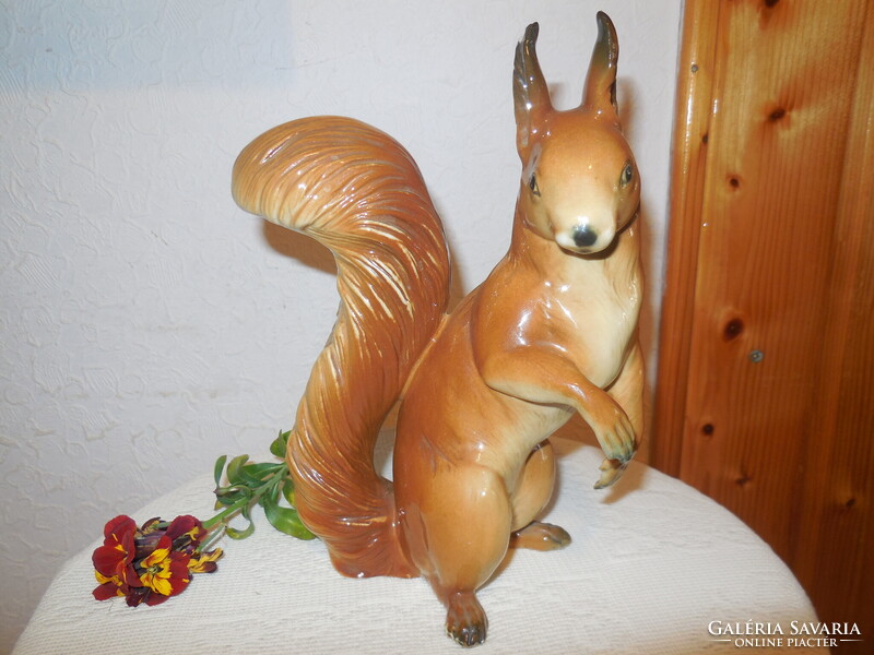 ENS  mókus  , fülén piciny  lapattanás , 20 cm