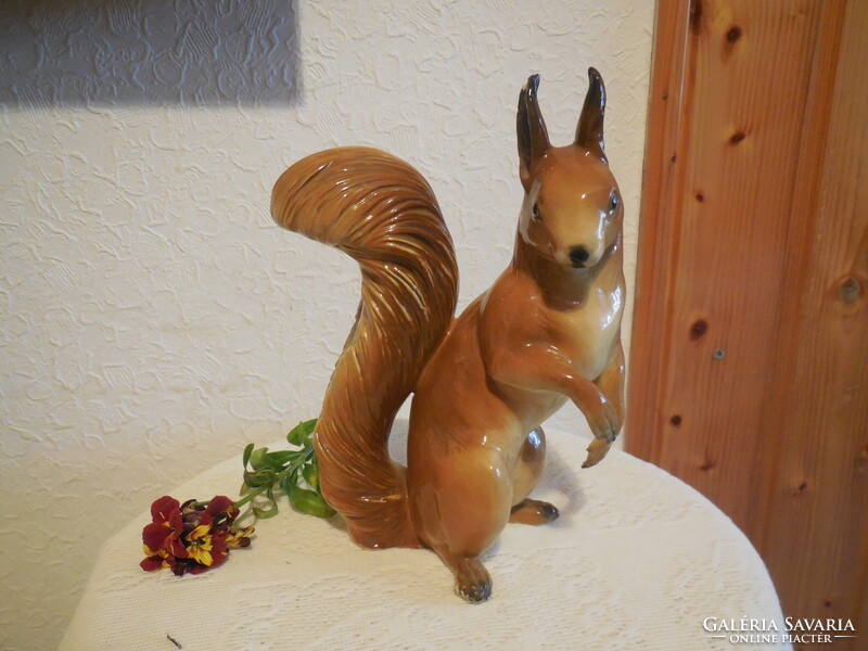 ENS  mókus  , fülén piciny  lapattanás , 20 cm