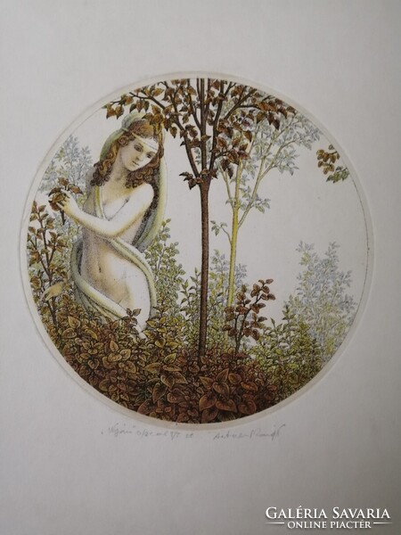 ARTNER MARGIT - NYÁR