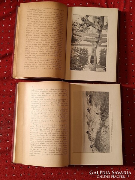 ELSŐ KIADÁS! képes fedelű MFTK 1906 VII-VIII.-SVEN HEDIN:ÁZSIA SZIVÉBEN I.II. --GYŰJTŐI!