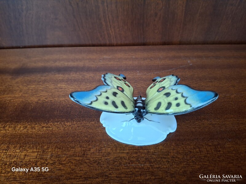 Rosenthal porcelán pillangó figura