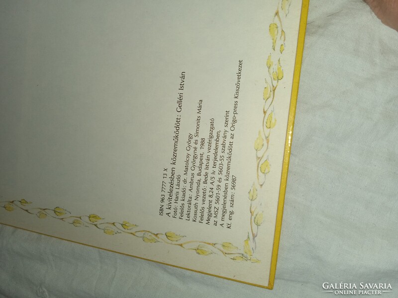 Dargay Attila-Hévízi Gábor - Az erdő kapitánya - Pannónia Filmstúdió, 1988- Képregény Vintage