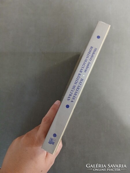 Miskolczy Ambrus - Határjárás a román-magyar közös múltban,2004
