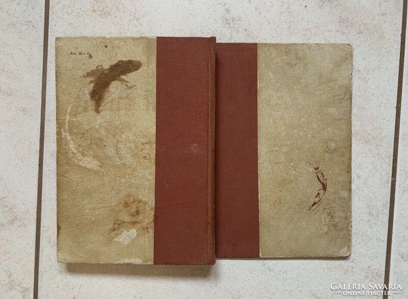 Grosics Gyula: Így láttam a kapuból