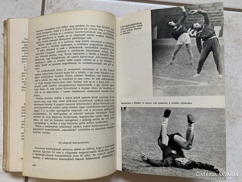 Grosics Gyula: Így láttam a kapuból