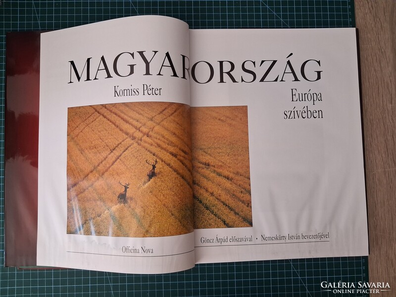 ! Korniss Péter: Magyarország Európa szívében - 1327