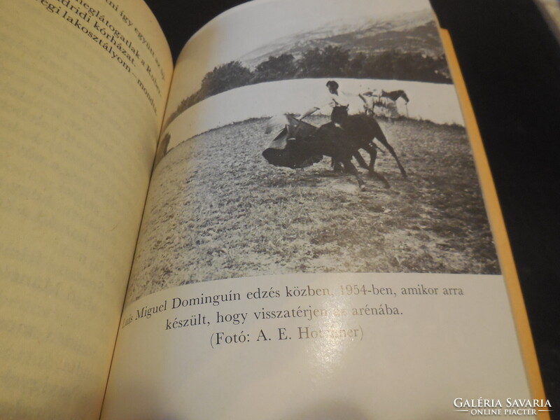 ERNEST  HEMINGWAY   Veszélyes nyár  Árkádia  1988 .