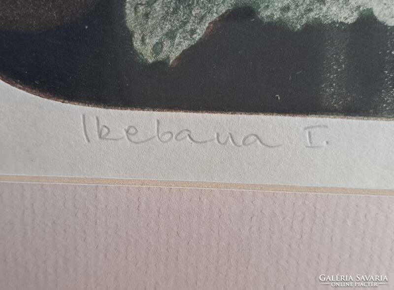 Tassy Béla: Ikebana - különleges színes grafika! fehér keretben (asztal, japán virágrendezés)