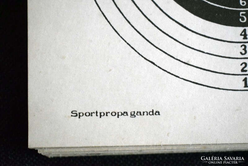 Céltábla 25 méter kispuska , gyorspont lőlap , ( 3 / A számú ) , vadászat , 10cm cél , 13x13