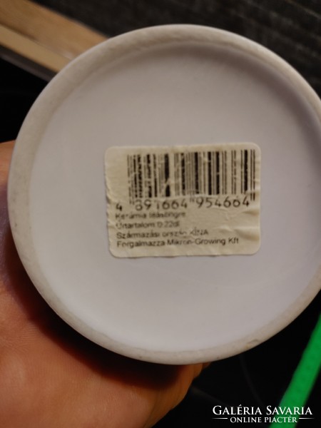 Kiwi körte datolya teaszűrős bögre