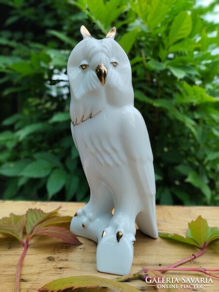 Aquincumi porcelán bagoly