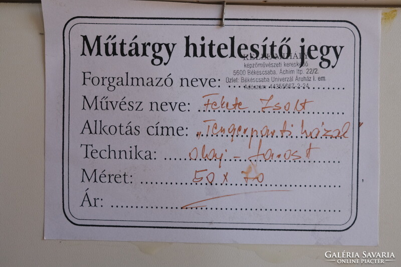 Fekete Zsolt - Tengerparti házak