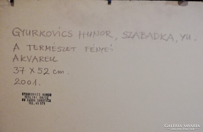 GYURKOVICS HUNOR (1941-) - A TERMÉSZET FÉNYEI (37x52cm. akvarell)