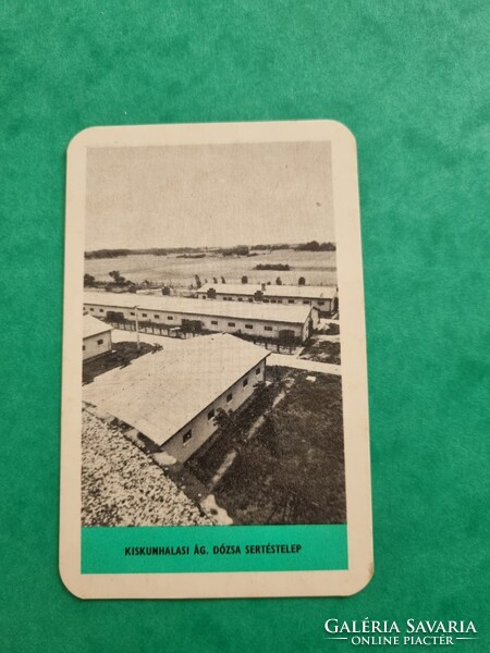 MEZŐBER 1972. évi kártyanaptár - KISKUNHALASI ÁG