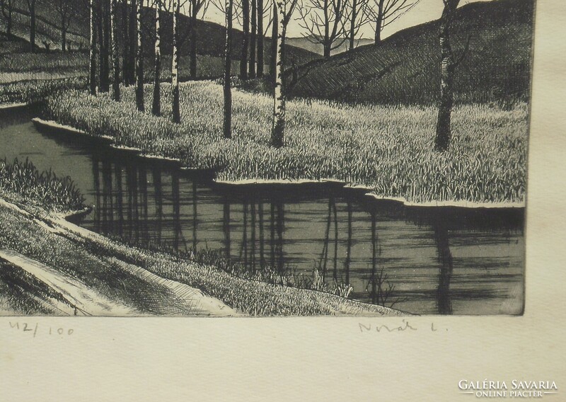 + Novák Lajos : Patak  (42/100)