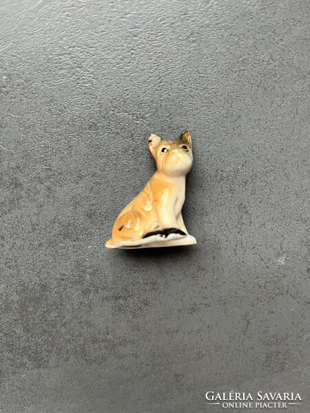 Porcelán kutya, kutyus