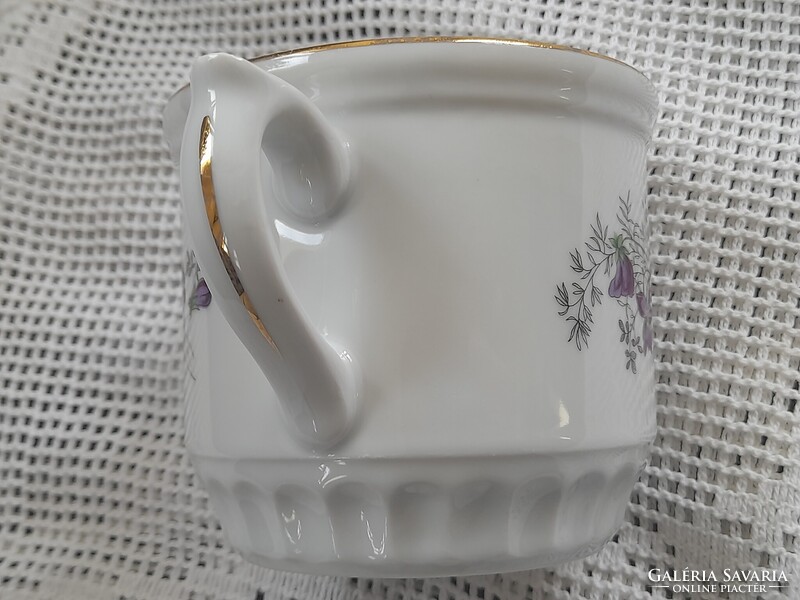 Cseh szoknyás ibolyás bögre