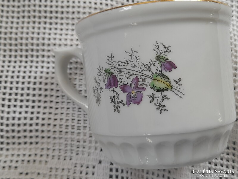 Cseh szoknyás ibolyás bögre