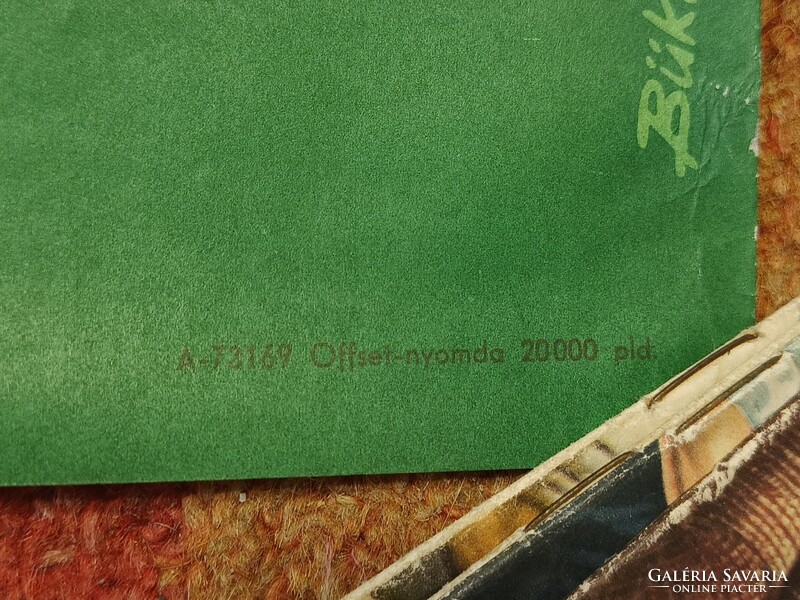 MHSZ propaganda plakát 1973