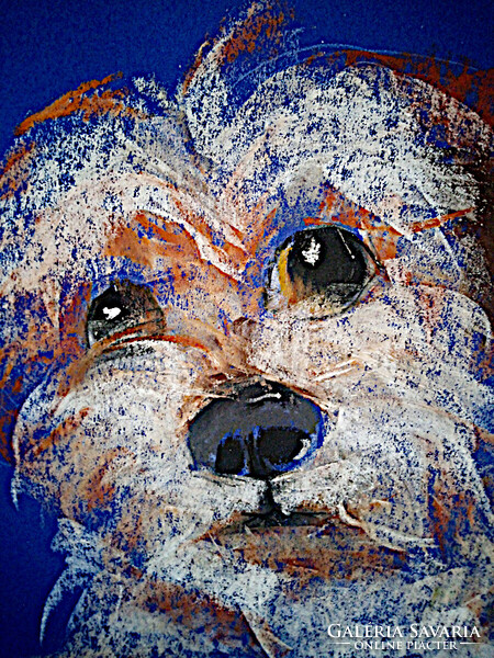 Vibók: Drótszőr 35x50 cm