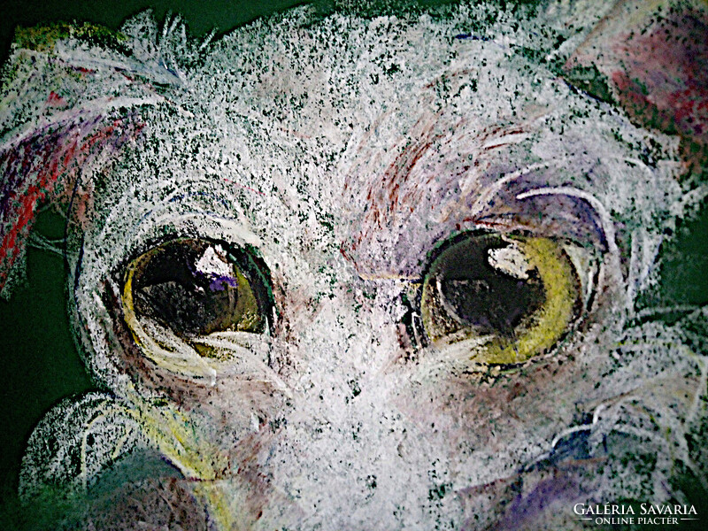 Vibók: Picur 35x50 cm