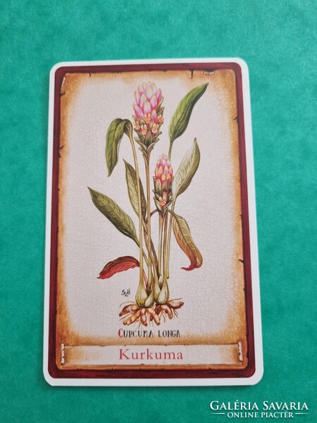 ERZSÉBET PATIKA SOPRON 2014. évi kártyanaptár - Kurkuma