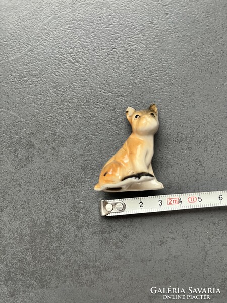 Porcelán kutya, kutyus