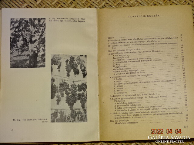 MOHÁCSY MÁTYÁS : GYÜMÖLCSTERMESZTÉS A HÁZI ÉS HÁZTÁJI KERTEKBEN 1959