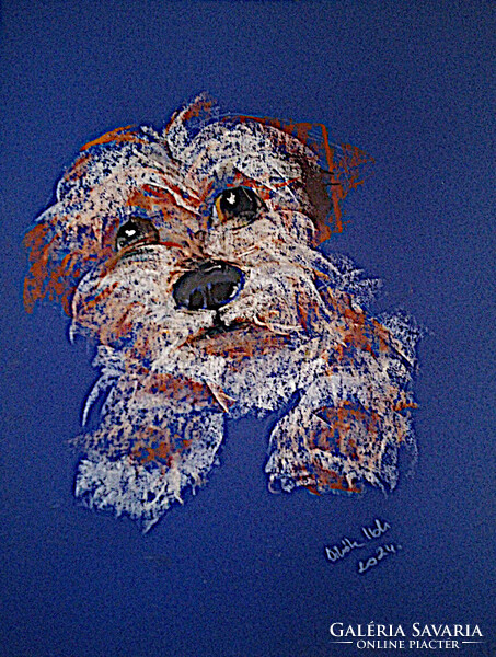 Vibók: Drótszőr 35x50 cm