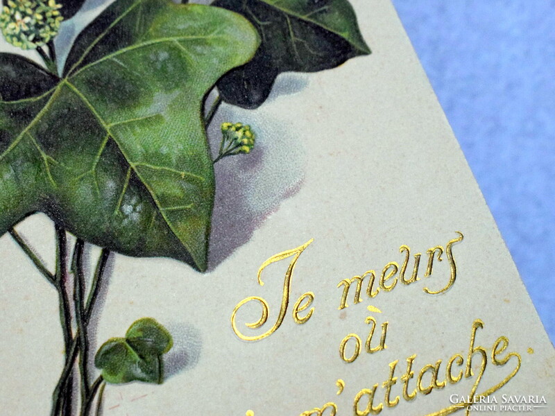 Antik szecessziós dombornyomott üdvözlő képeslap borostyánlevél