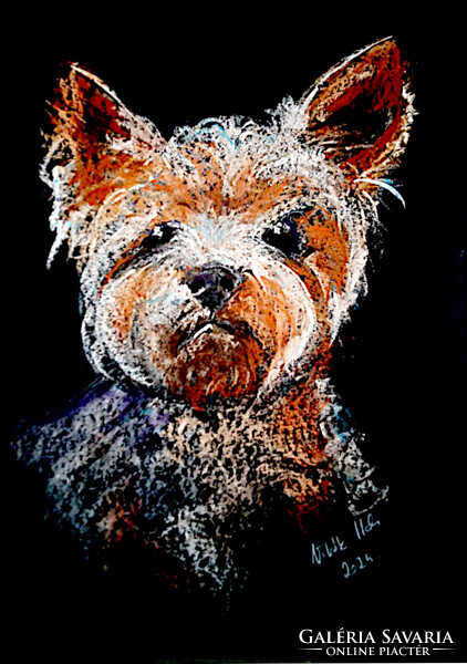 Vibók: Yorki 35x50 cm