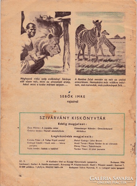 Szivárvány kiskönyvtár: Oroszlánkaland Afrikában
