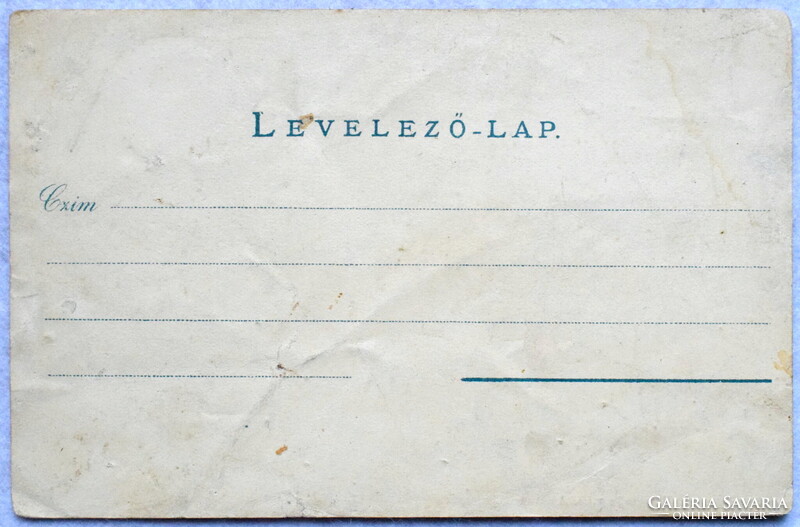 Magyaróvár /Mosonmagyarórvár - Magyar utca , üzletek , fogat - antik képeslap   1900 körüli