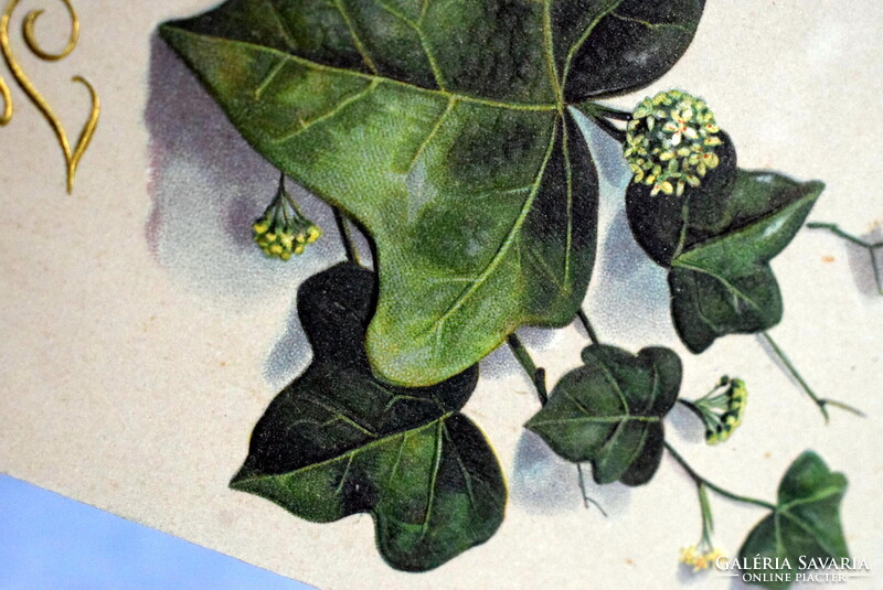 Antik szecessziós dombornyomott üdvözlő képeslap borostyánlevél