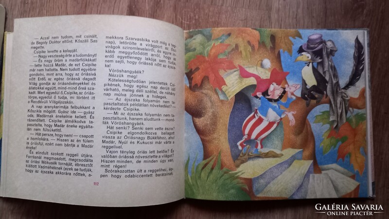 Fodor Sándor - Csipike mesekönyv 1984 - Rusz Lívia rajzaival