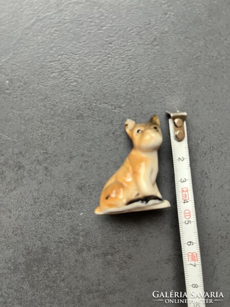 Porcelán kutya, kutyus