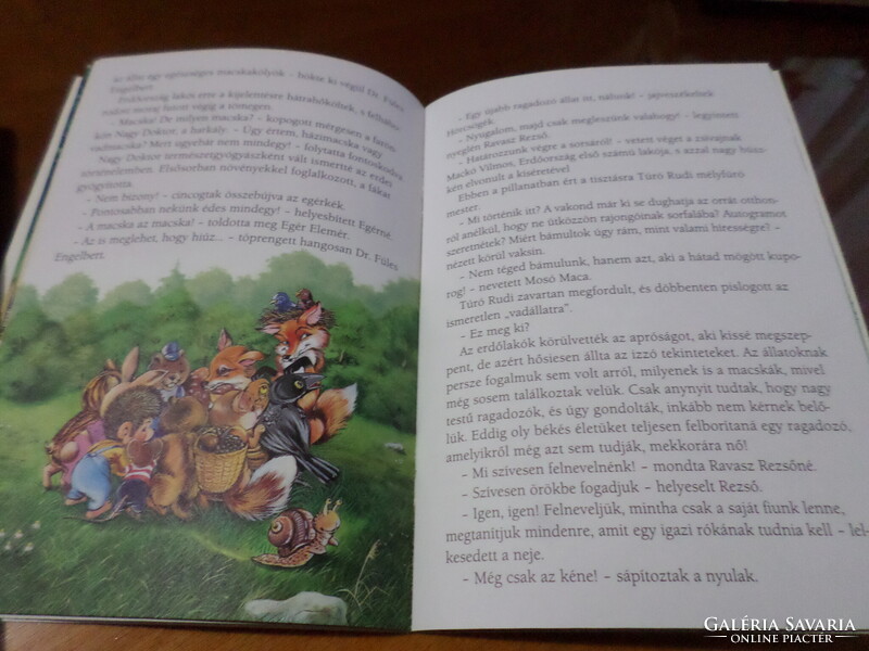 Erdőország meséi Árva cica és bagoly doktor kalandja, 2016