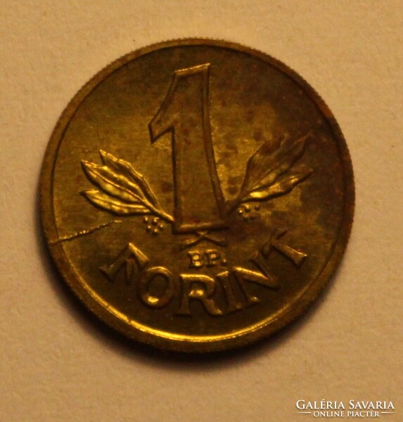 Kádár mini 1 forintos (3) - korrodált