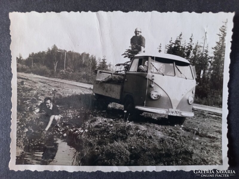 Régi fotó -Férfiak egy VW Transporter mellett – 1950-es évek feketefenyő ültetésen